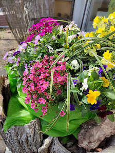 Blumen-Schreiber