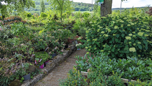 Gartencenter Volk