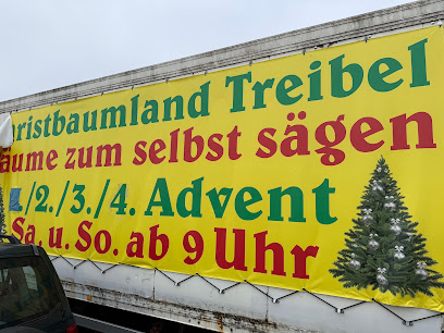 Christbaumland Treibel