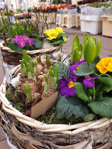 Petite Fleur Blumenhandel