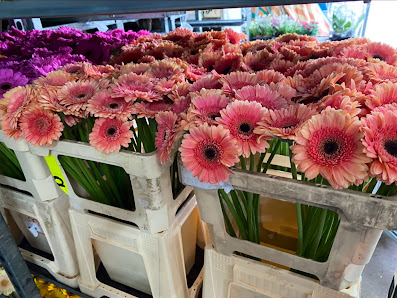 Petite Fleur Blumenhandel