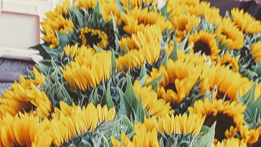 Petite Fleur Blumenhandel