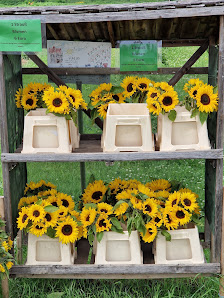 Blumen zum selber schneiden / Kürbisverkauf