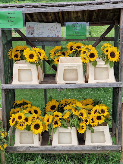 Blumen zum selber schneiden / Kürbisverkauf