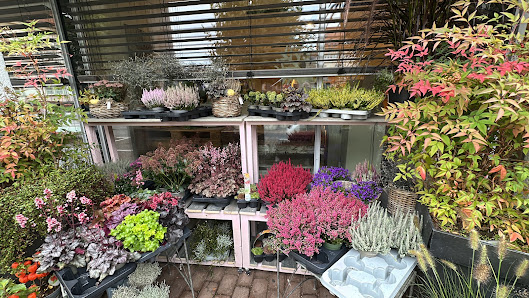 Kreativ - Blumen & Mehr Karolin Kolb