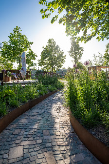 Jung Garten & Landschaft