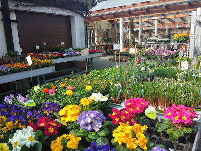 Blumen-Lörch Birgit Eppel