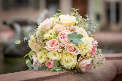 Blumen & Pflanzen Christophel