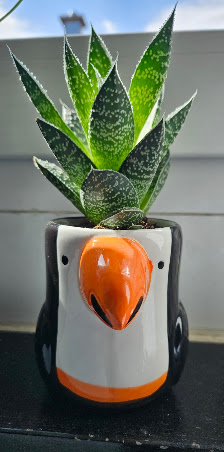 Blumenladen Das Blühende Leben