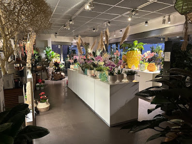 Blumen Speth GmbH