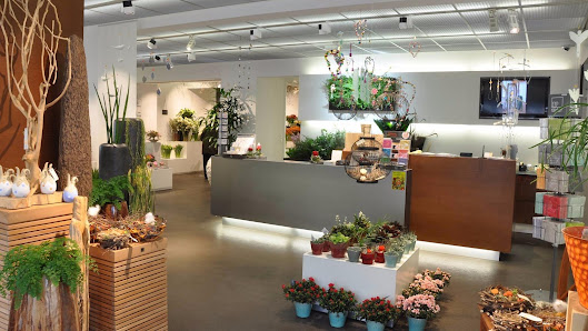 Blumen Speth GmbH