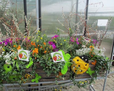 Blumen Weis