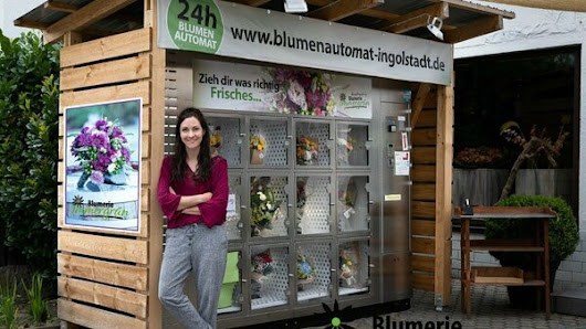 Blumerie Immergrün