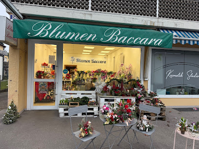 Blumen Baccara Ingolstadt