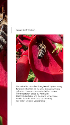 Gärtnerei Graf