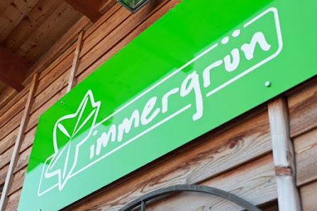 immergrün - Home Accessoires & Floristik