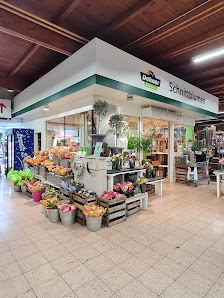 Dehner Garten-Center