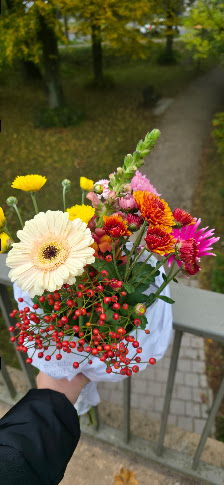 Blumen Böhmer, Gärtnerei