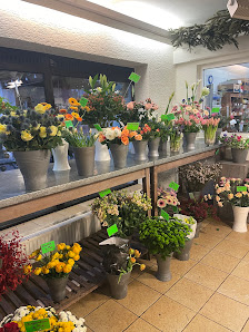 Blumen Böhmer, Gärtnerei