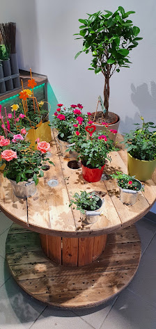 Gelis Blumenzauber