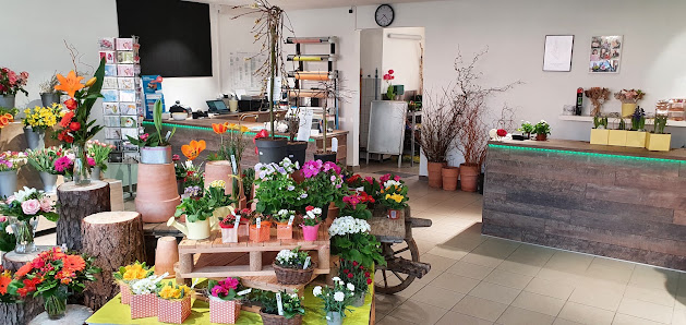 Gelis Blumenzauber