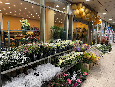 BF Blume Hamburg
