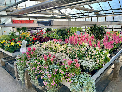 Lurtz Gartenbaubetrieb GmbH