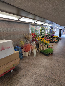 Floristik im Mönckebergtunnel