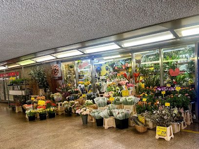 Floristik im Mönckebergtunnel