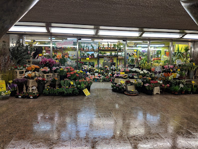 Floristik im Mönckebergtunnel