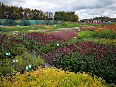 Bamberger Staudengarten Verkauf