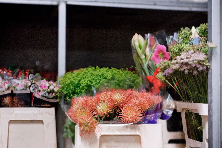 Kwoka Blumen Handels-GmbH