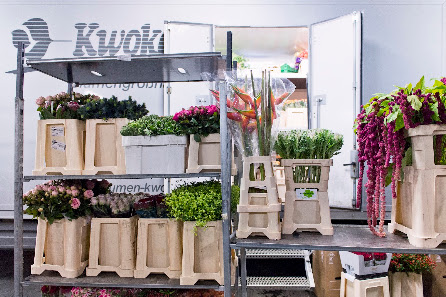 Kwoka Blumen Handels-GmbH