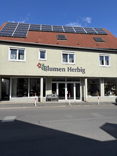 Blumen Herbig