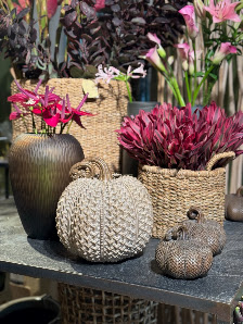 HOME flowers Günter Haluszczak e.K.