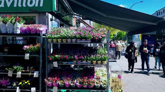 Blumen Pavillon Osterstraße