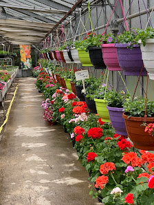 Die Blumenkiste – Christine Herb-Regler