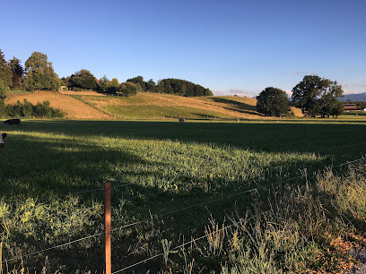 Allgäuer Gartengestaltung