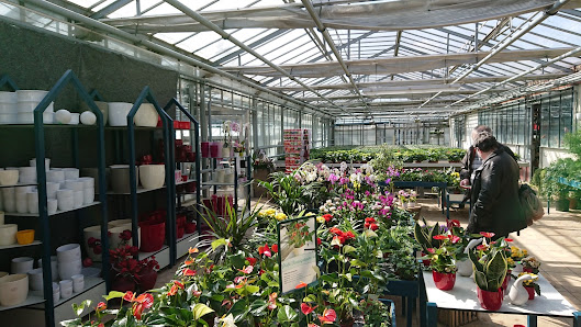 Gartenbau Neumair