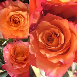 die blumenwiese