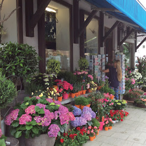 Blumen Eder