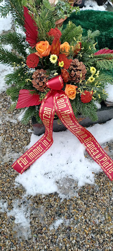 Blütenzauber Blumen und Pflanzen Inh. Verena Hoogvliet