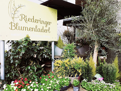 Blumengeschäft